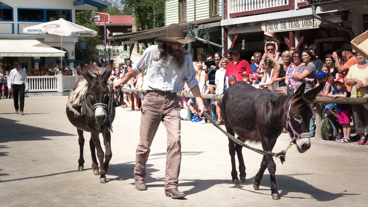 O Fotomagazin / Pullman City 2016